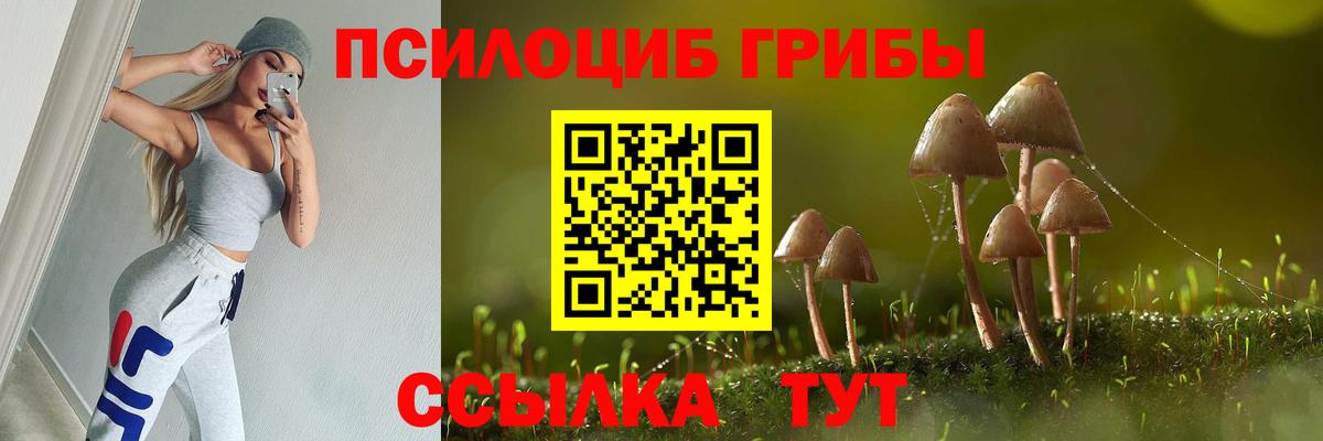 Галлюциногенные грибы Psilocybe Люберцы